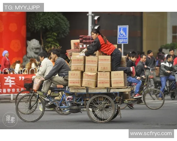 广州篮球队的奋斗历程与荣耀追寻全景纪实