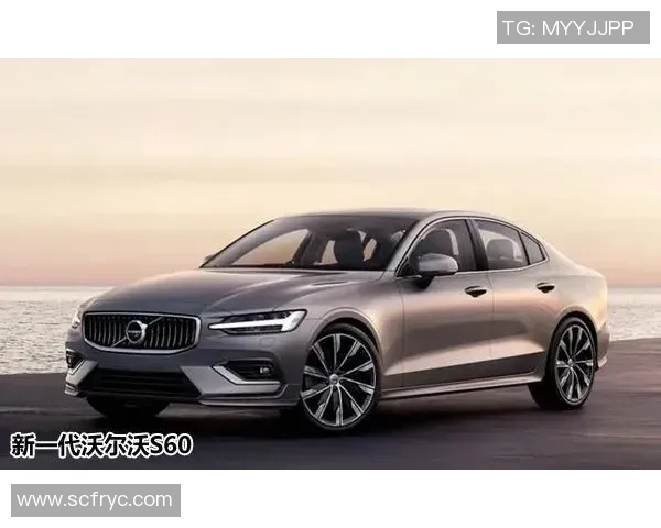 足球明星们的心声与愿望：他们对未来的祈求与期待